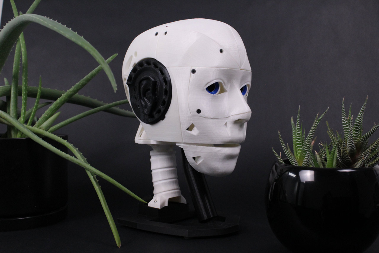 InMoov Humanoid Head DIY Kit (Without Motors)