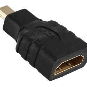 Plug converter from micro HDMI male to HDMI female (Rasp)