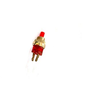 Push Button 2 Pin Red