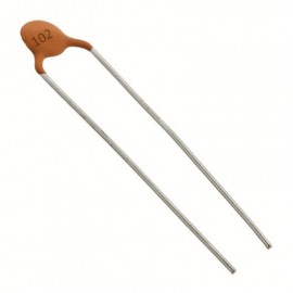 1NF Ceramic Capacitor