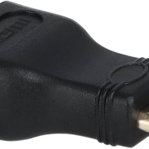 Plug converter from mini HDMI male to HDMI female (Rasp)