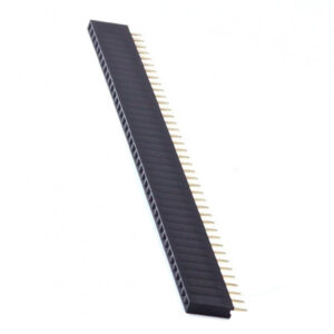 Pin Header Female 2.54mm 40 Pin Straight
