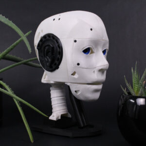 InMoov Humanoid Head DIY Kit (Without Motors)
